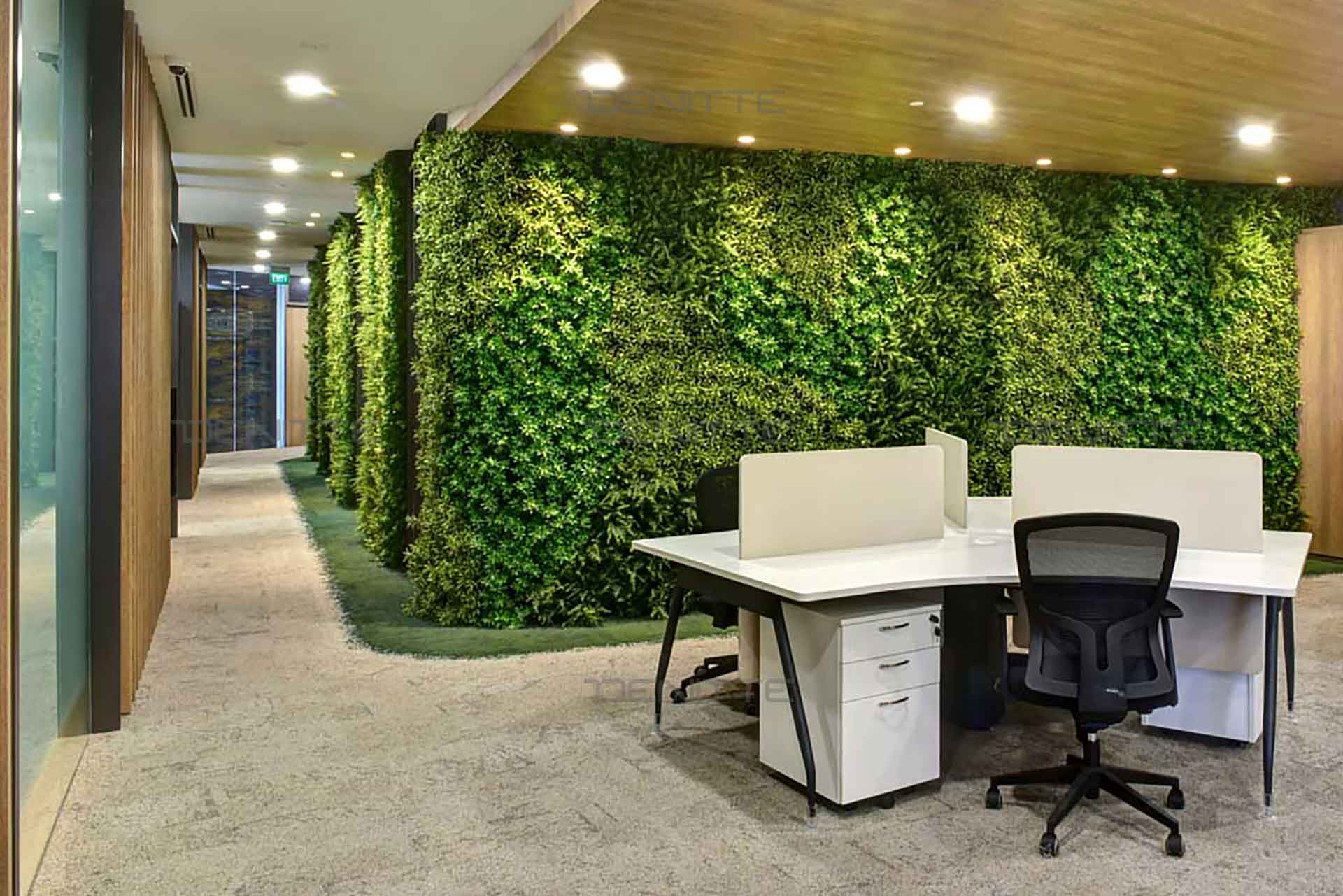 Зеленые стены в офисе